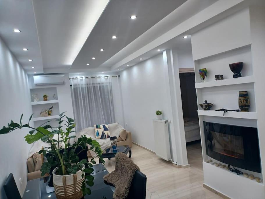 Cozy Renovated Apartment Αθήνα Εξωτερικό φωτογραφία